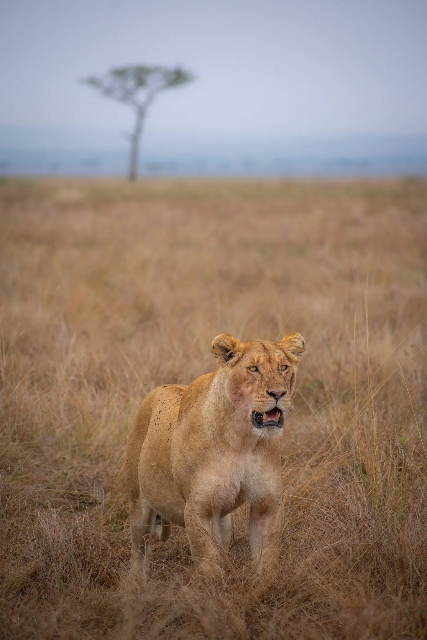 Photography by Devan Malik