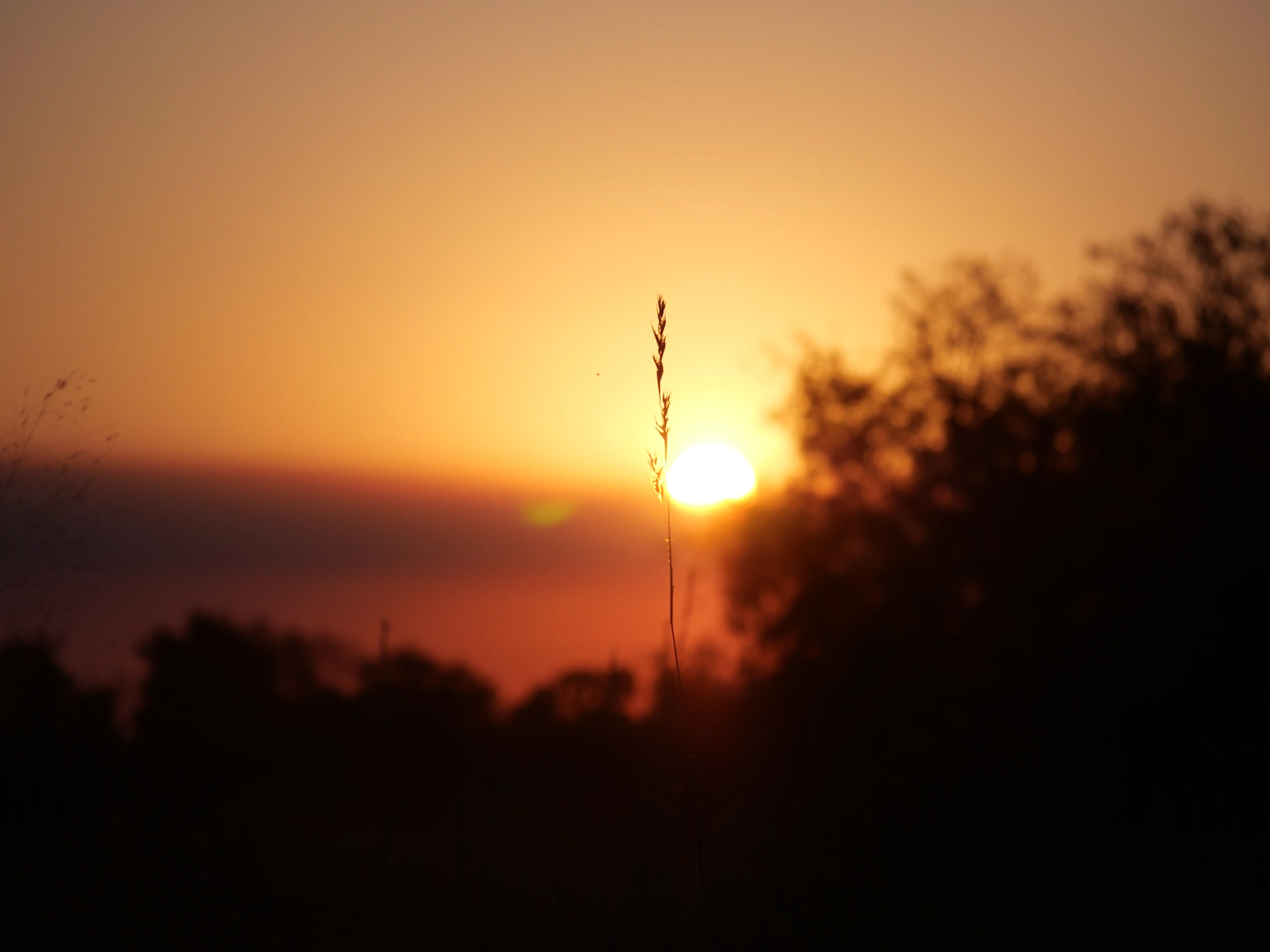 Photography by Devan Malik